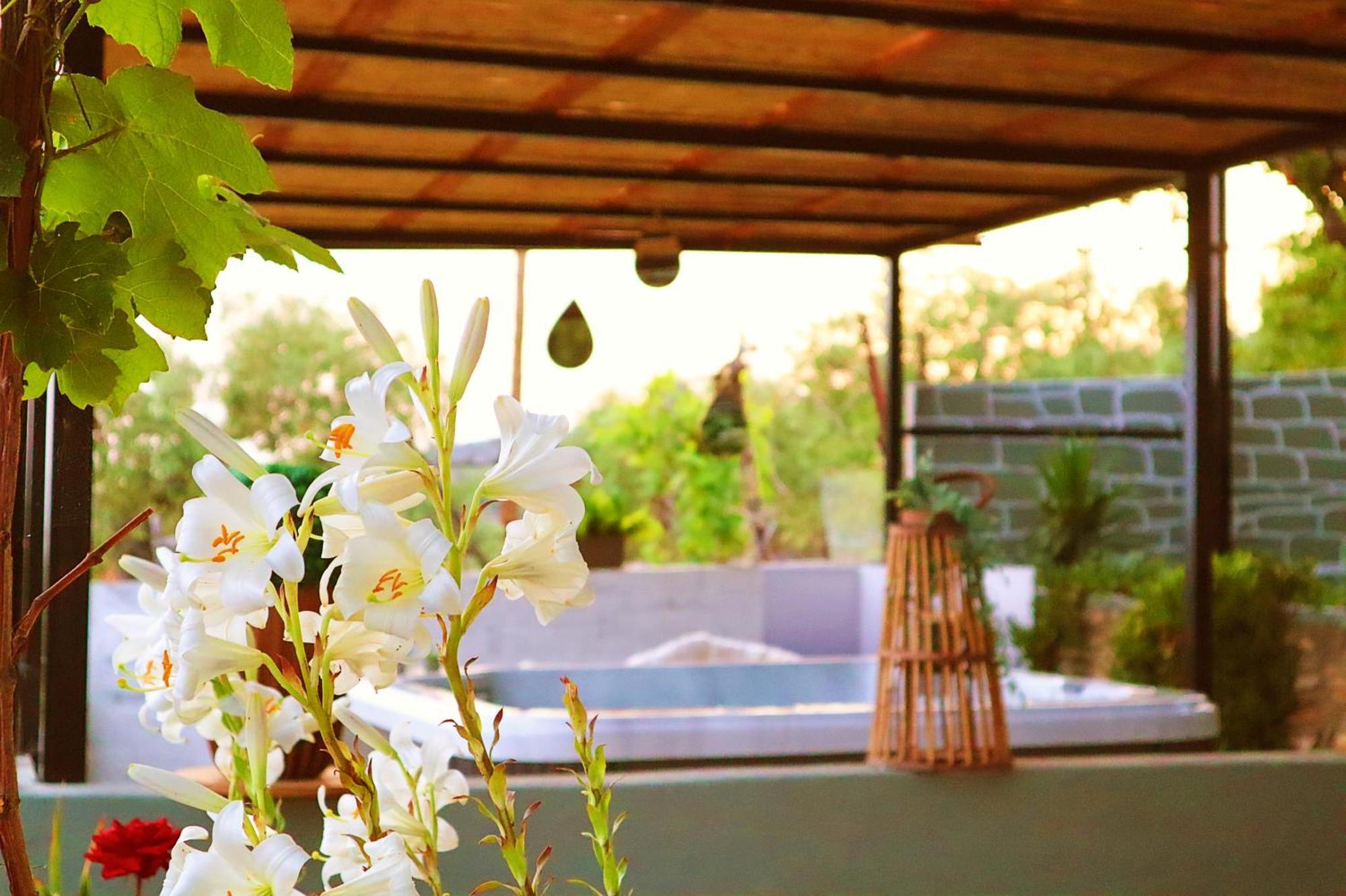 Thassion-Ikea Feels Like Home Astris Extérieur photo